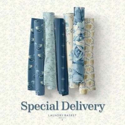 2026.08 Special Delivery Laundry Basket